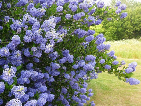 Commentaire dd'évangile, 6ème Dimanche de Pâques, année liturgique C, 25 mai 2025, apprends-nous à aimer, Jeudi Saint, Lavement des pieds, abaissement du Fils, Incarnation, Ascension, aimer son prochain, Amour de Dieu