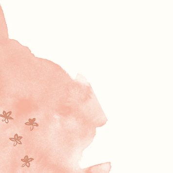 Captura de Pantalla 2022-08-26 a la(s) 10.40.58 p.m..png