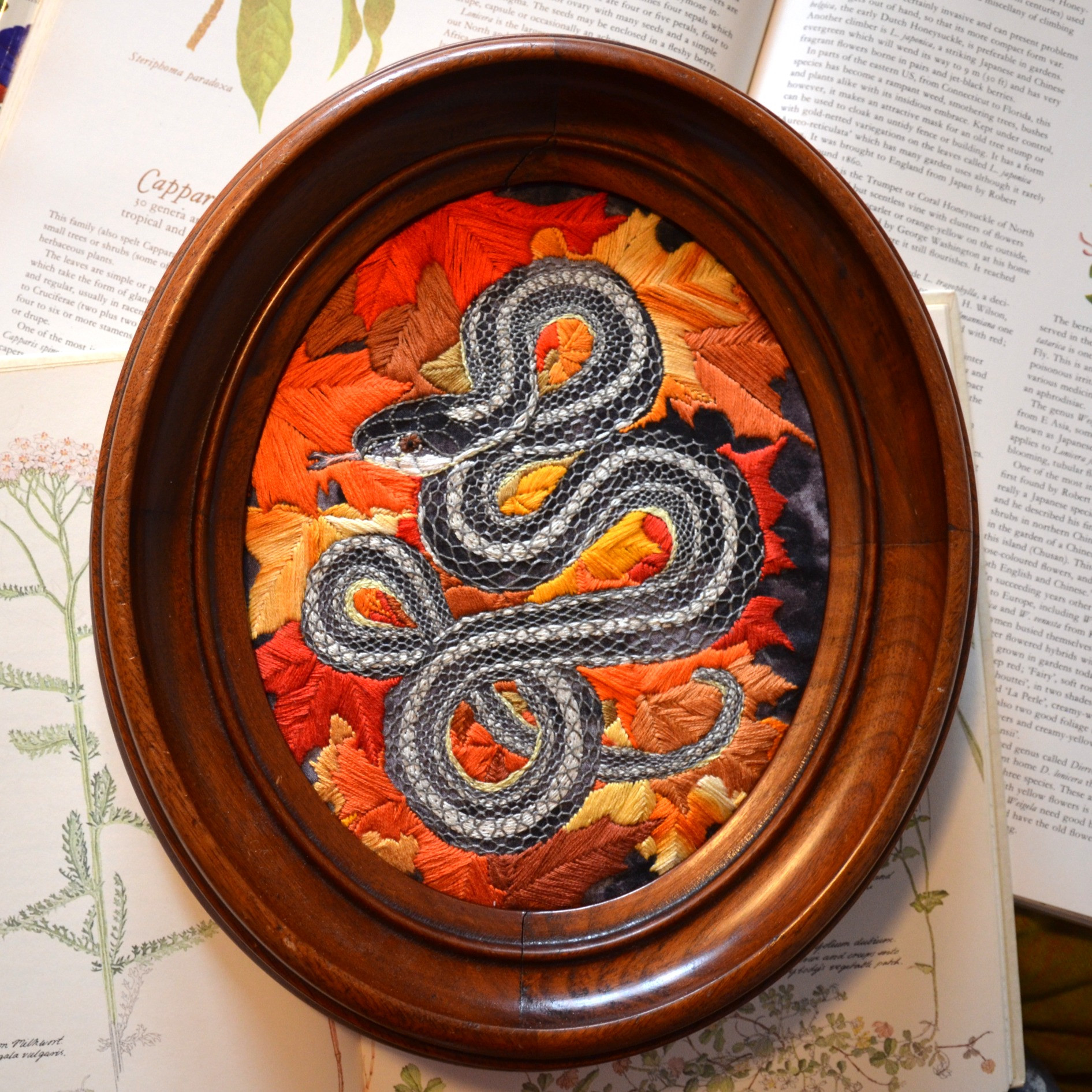Common Garter Snake