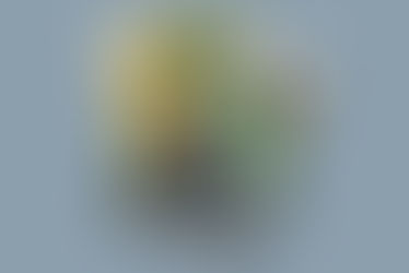 New Motorcycle Riders "After School Training"