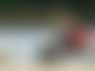 Meals on wheels. Dogs chasing motorcycles.