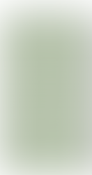 Motorcycle laws cheat sheet.