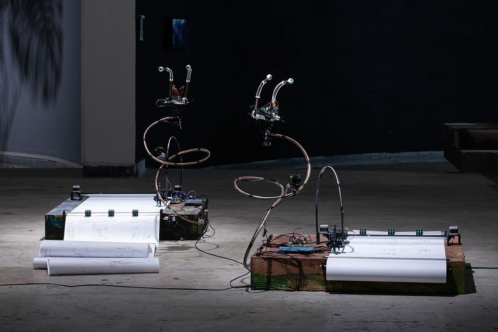 Anna Frants, Artist Union. Still life. From the series “Matter of Chance”, media Installation, 2019. CYFEST-14, HayArt Cultural Center. Ph: Ann Prilutckaia