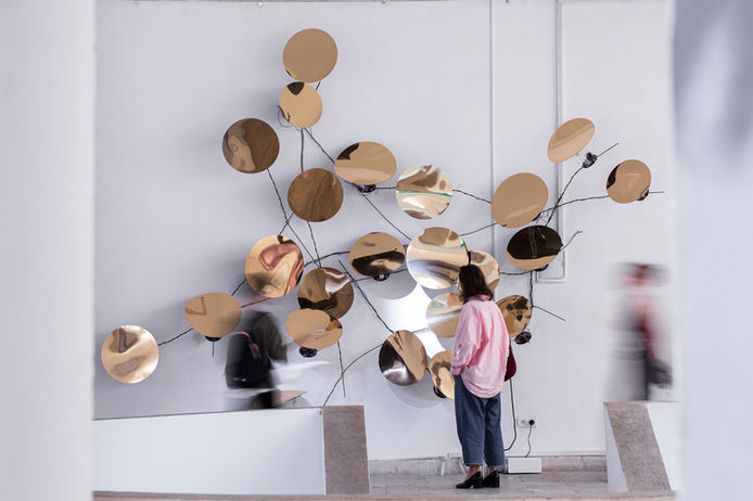 Elena Gubanova & Ivan Govorkov (Russia), Danae, media installation, 2014. CYFEST-14, HayAr