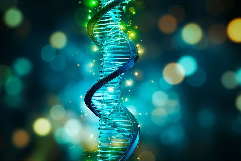 dna