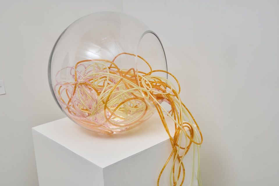 Installation view of Ferment: Metamorphoses and Reflections. CYFEST-14 International Media Art Festival, National Arts Club, New York, 2022. Photograph by Roman Makhmutov