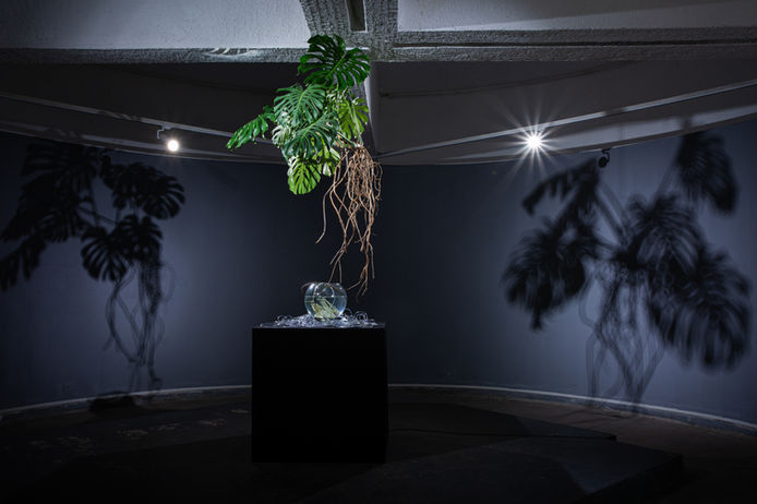 Ivan Karpov (Russia), Fine Body, Audiovisual object; Author’s hydroponic system with a liv