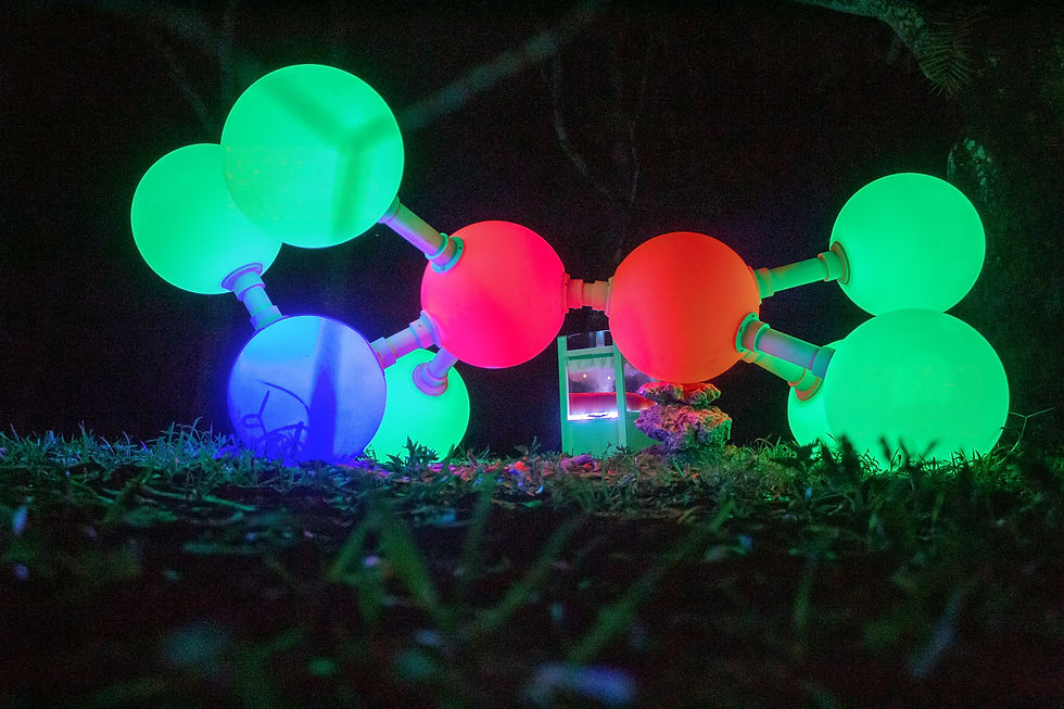 Alexandra Dementieva, Source of Energy, 2021. CYFEST-15: Vulnerability, Deering Estate, Miami, USA, 2023-2024. Photo: Alexander Bochkov