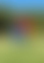 A Gift to the Collection: Victory over the Sun by Elena Gubanova & Ivan Govorkov at MOMus