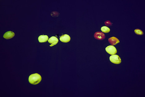 Anna Frants & Elena Gubanova, Weather Forecast — WINTER_SUMMER, 2013, Installation. CYFEST 16, “HayArt” Centre, Yerevan, Armenia, 2024. Photo: Ann Prilutckaia