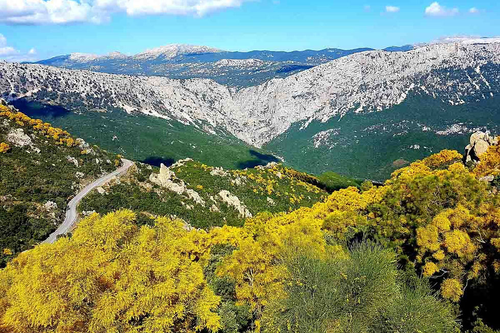 Ogliastra’s Mountain