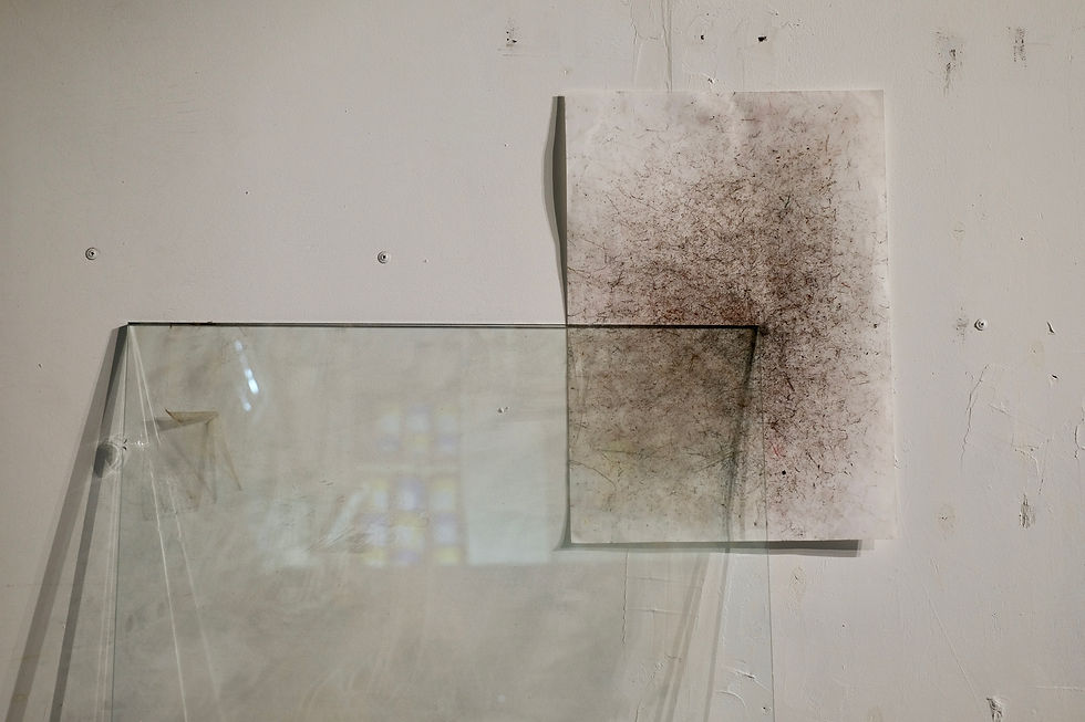 Alexey Dymdymarchenko, Untitled, installation, 2019. CYFEST 12, LUDA Gallery, St. Petersburg, Russia, 2019. Photo: Mikhail Borisoff