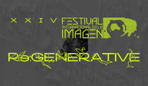 XXIV International Image Festival х International Media Art History Conference