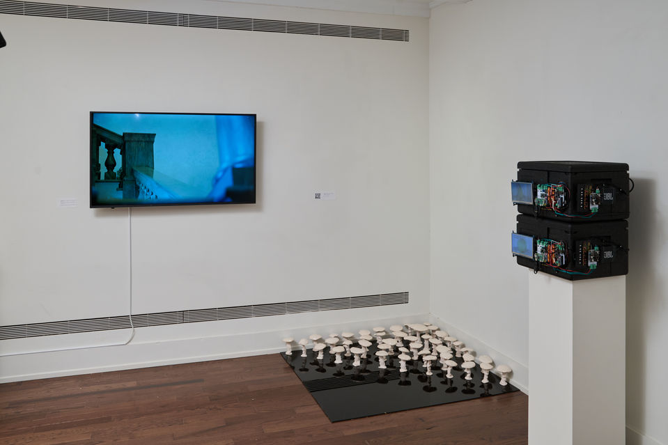 Installation view of Ferment: Metamorphoses and Reflections. CYFEST-14 International Media Art Festival, National Arts Club, New York, 2022. Photograph by Roman Makhmutov