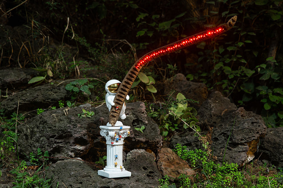 Anna Frants, Obstinacy and Persistence, from series “Coordinate System”, installation, 2023. CYFEST 15, Yerevan Botanical Garden, Armenia, 2023. Photo by Ann Prilutckaia