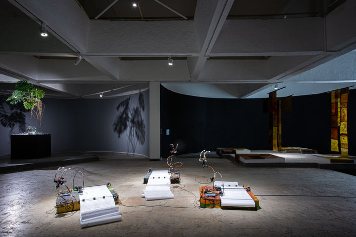 CYFEST-14 Installation View, HayArt Cultural Center, Yerevan, Armenia. Photograph by Ann P