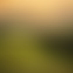 Mid Wales: Where Natural Beauty Meets Innovation and Investment