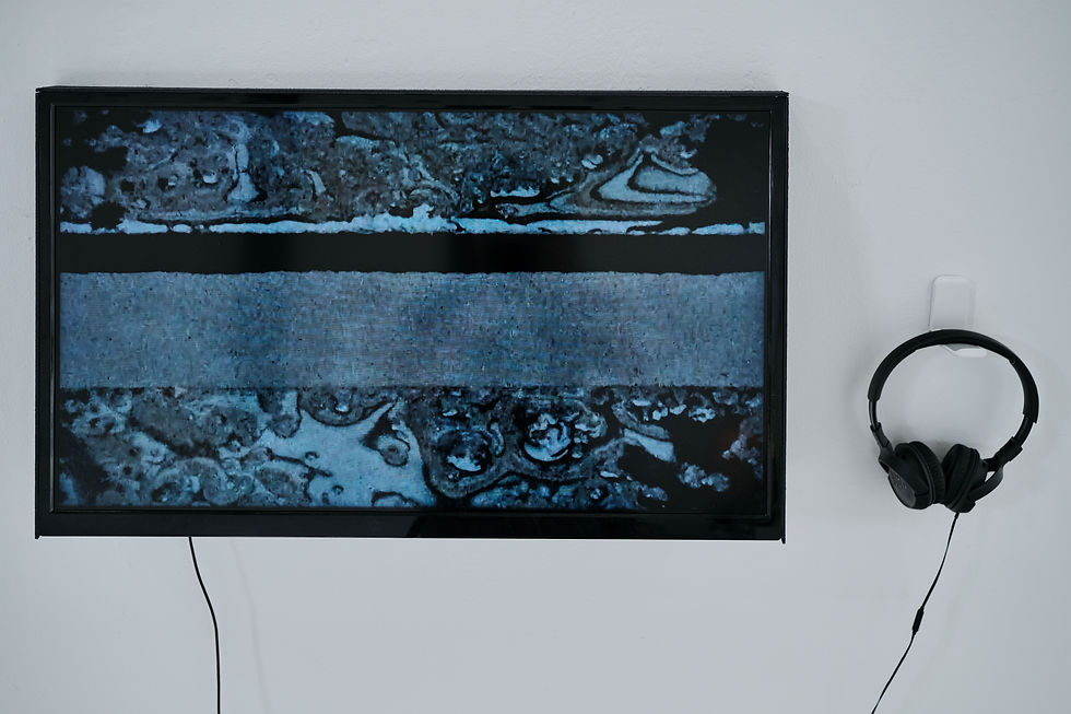 Phill Niblock & Katherine Liberovskaya, LockStorm (or Outside from Inside), a collaborative video project, 2020. CYFEST 15: Vulnerability, CREA—One Contemporary Art Space, 2024. Photo: Edith Bunimovich