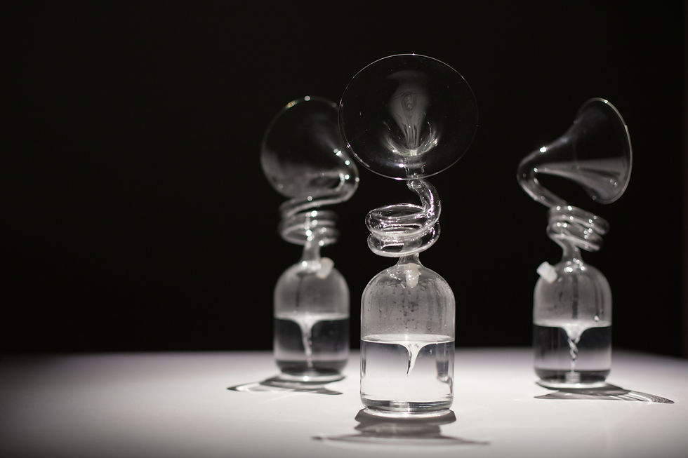 Nelo Akamatsu, Chōzumaki, sound installation, 2016. CYFEST 12, The Youth Educational Center of the State Hermitage Museum, St. Petersburg, Russia, 2019. Photo: Yuri Goryanoy