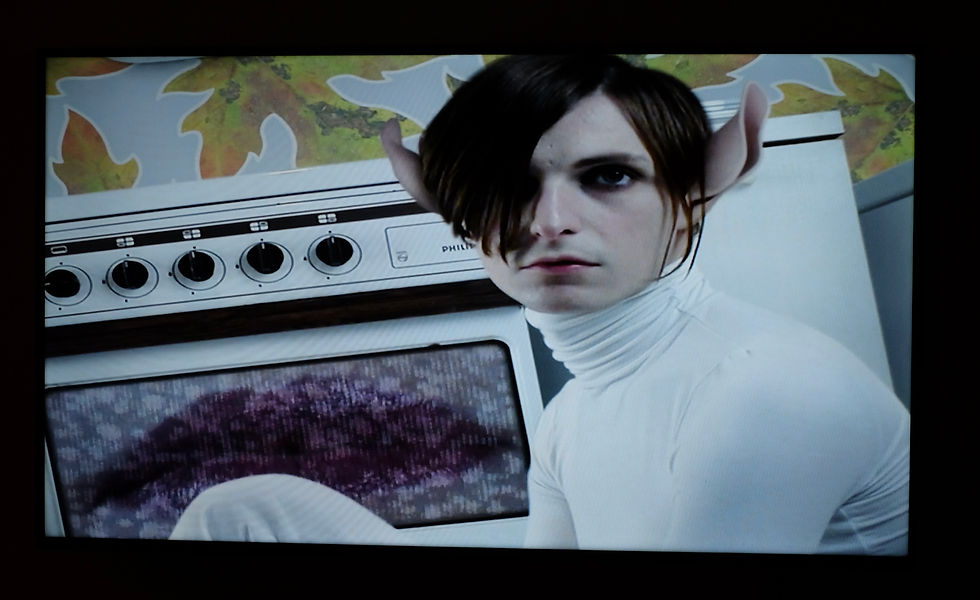Karin Andersen & Christian Rainer, Stranger, video, 2006. CYFEST 12, Marina Gisich Gallery, St. Petersburg, Russia, 2019. Ph: Mikhail Borisoff