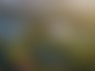 Monkey Island Estate: A Luxury Private-Island Retreat on the River Thames