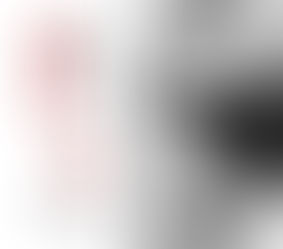 SUBTROPICS 2025 MARATHON