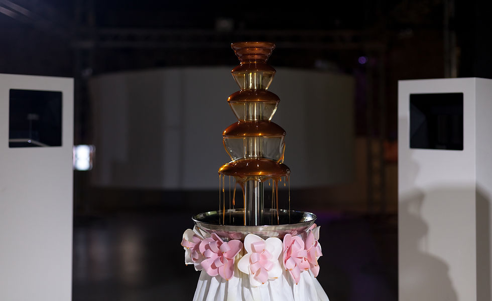 Marina Alekseeva & Vladimir Rannev, In Chocolate, multimedia installation, 2019. CYFEST 12, Time Travel Center KOD, St. Petersburg, Russia, 2019. Photo: Yuri Goryanoy
