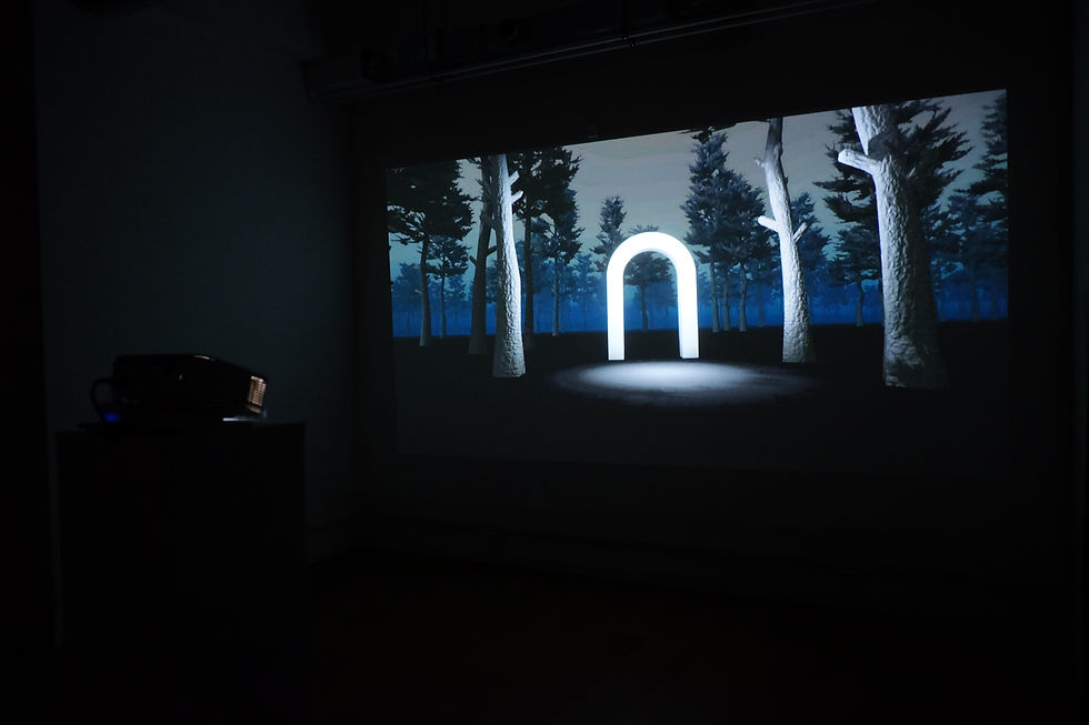 Alisa Nikolaeva, Sergey Kalabin, Transition Space, total installation, 2019. CYFEST 12, Xassa-Nivet-Carzon Project in Changing Room Gallery, St. Petersburg, Russia, 2019. Ph: Yuri Goryanoy