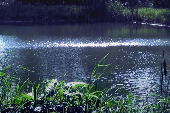 Wind Waves / Rumble Mumble, 2023. Single-channel video and installation loop