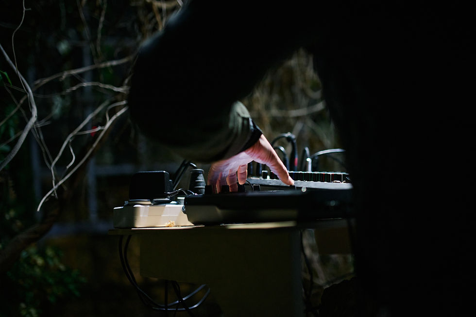 Hugo Solís, Sound Activation, 2024, Yerevan Botanical Garden, photo by Anton Khlabov