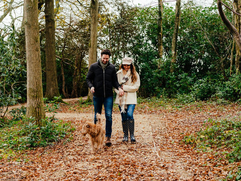 Your 4-Night Break in West Sussex: The Perfect Countryside Escape