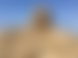 Sandland: Magical Sand Sculptures on Antalya’s Stunning Coast