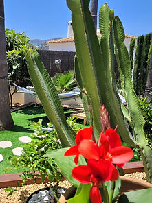 20250606_132638.jpg
