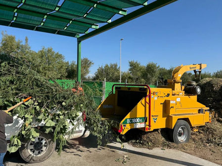 Por concluir la temporada de poda libre