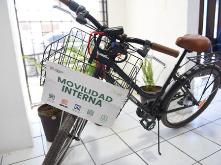 Dirección de Pensiones se suma a las acciones en favor del medio ambiente