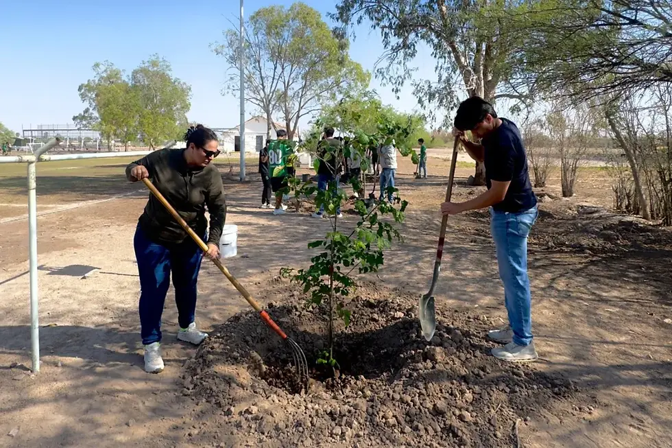 Realizan jornada de reforestación en Unidad Deportiva Aeropuerto