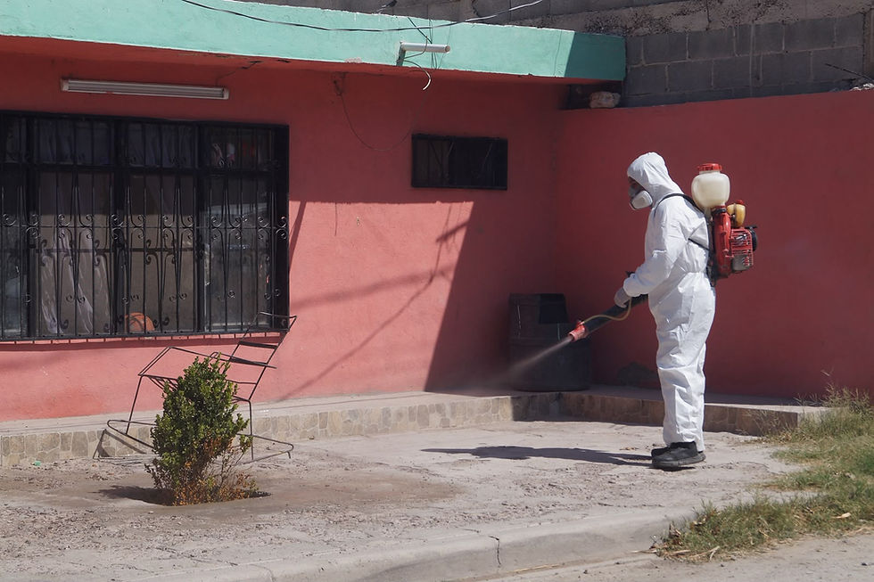 Refuerzan prevención contra el mosquito transmisor del dengue