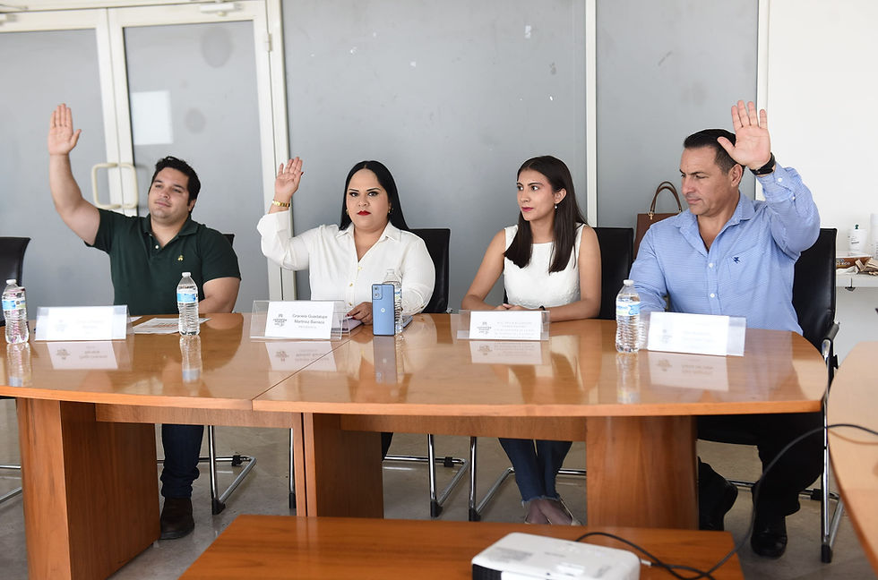 Presentan en comisión proyectos de la Red de Jóvenes en Ciencia e Innovación Social