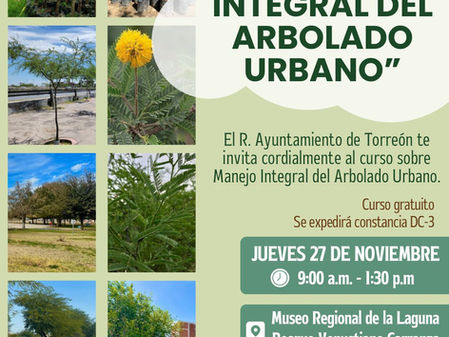 Capacitarán a personal municipal en el manejo integral del arbolado urbano