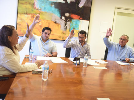 Informe de Comisiones