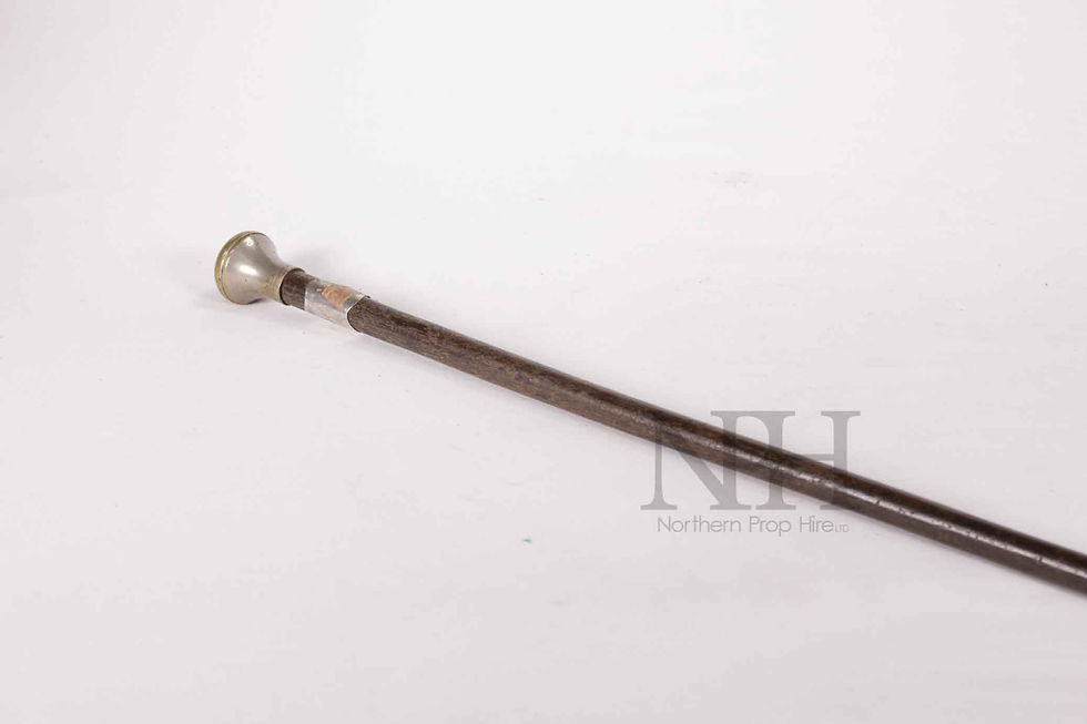Silver tipped cane