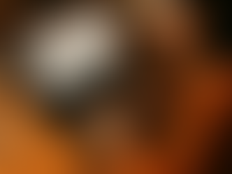 Mulher sorrindo enquanto escreve post para blog no notebook com planejamento à mesa.