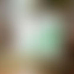 Comparação: PME gastando em Paid Ads contínuo versus PME com estratégia orgânica (Google Empresas, Blog, SEO), mostrando ROI superior ao longo de 12 meses em São Paulo