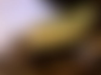 Golden Dawn's Dry Dock Success: A Heartfelt Thank You