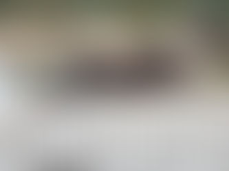 The Two Bowl Game: How to Keep Your Dog Active and Happy Indoors During Winter