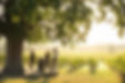 Denbies 2019-86 cr Stevie Mann.jpg