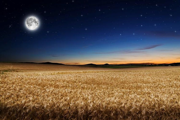harvest-moon.jpg