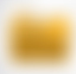 Fichero sobre Los Presidentes Constitucionales de México desde 1917 hasta nuestros días.