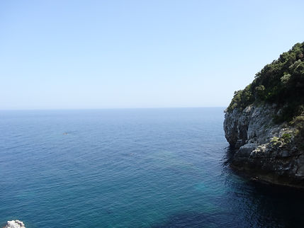 965D8E50-683B-4792-A53D-90734AC927AA.jpeg