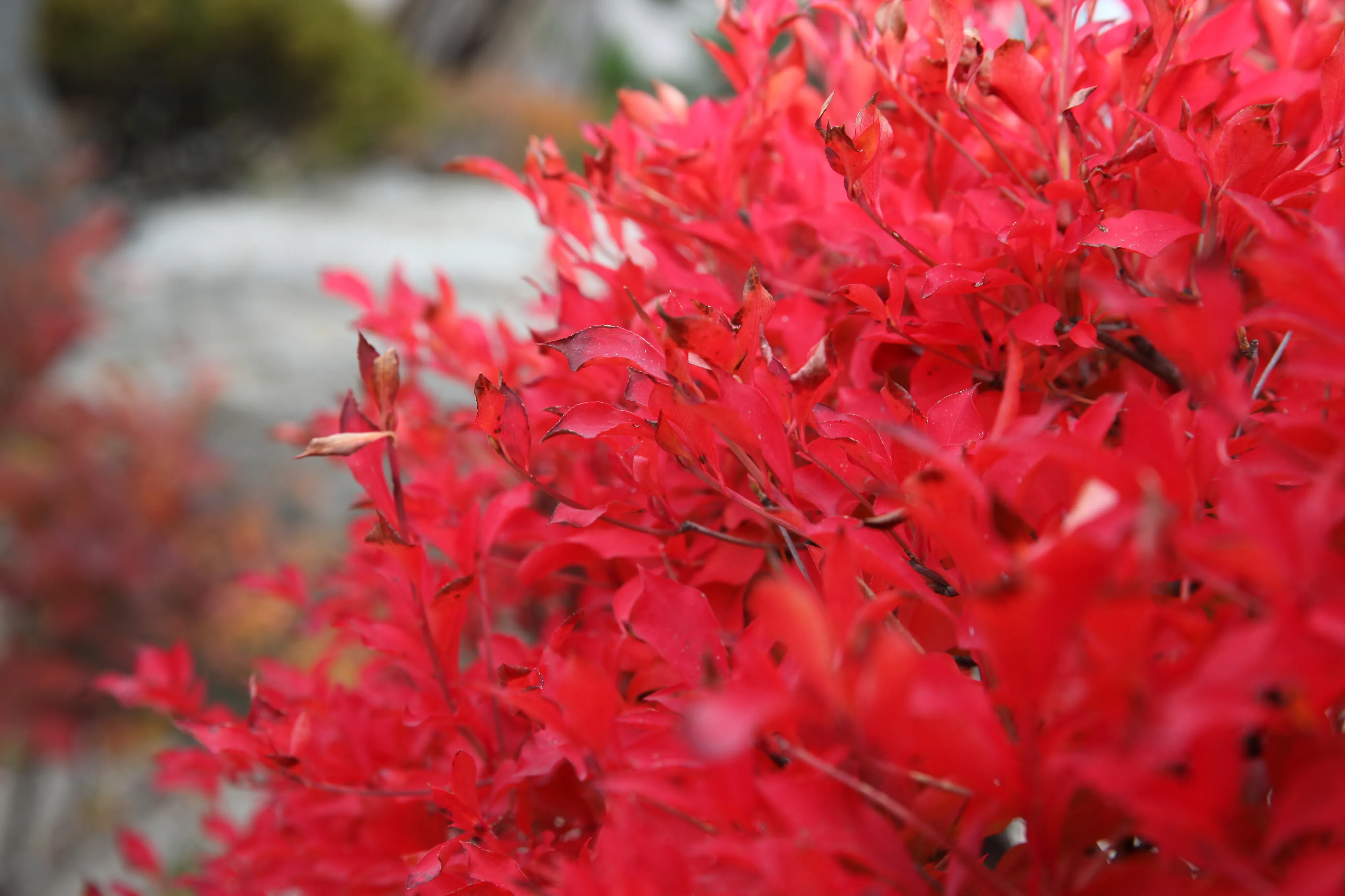 image (83).webp